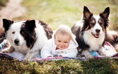 Děti k psovi nebo psa k dětem?